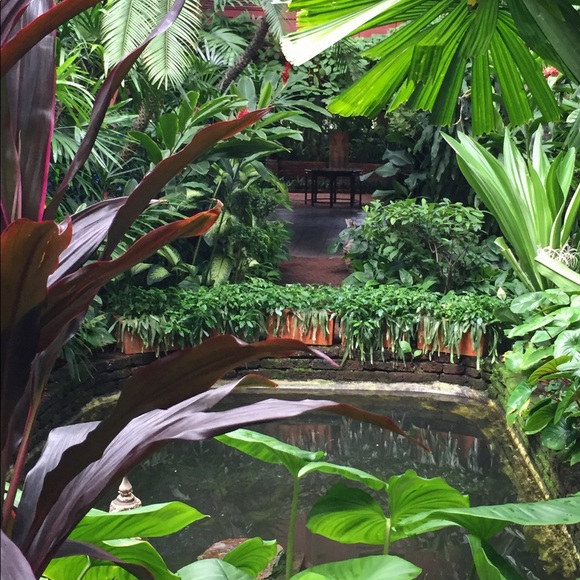 Meet your Posher, Lauren - Picture 1 of 1